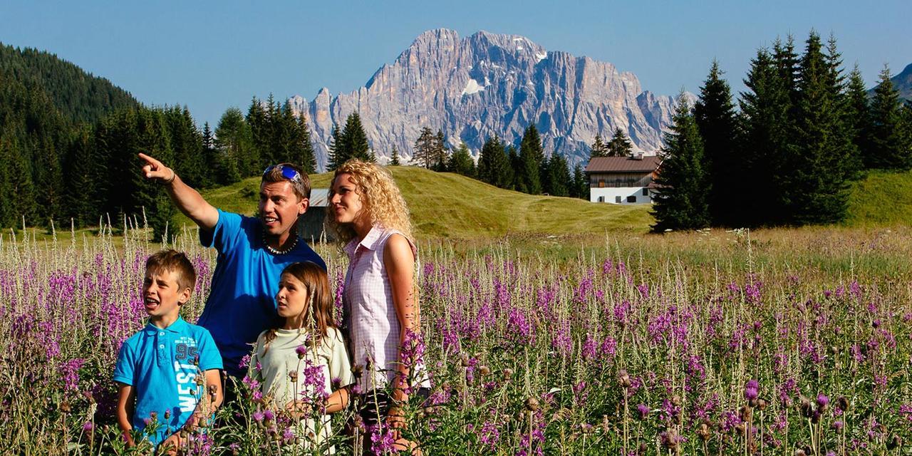 Casa Alpina Sacro Cuore Canale dʼAgordo 外观 照片