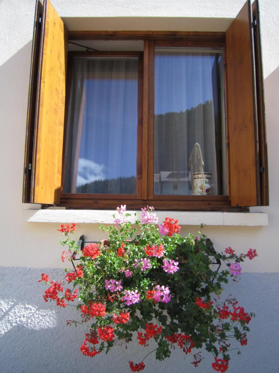 Casa Alpina Sacro Cuore Canale dʼAgordo 外观 照片